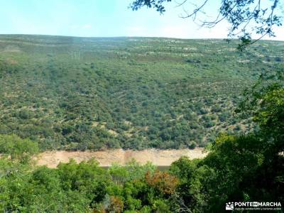 Monfragüe - Feria Queso Trujillo;cuevas del aguila cebreros rio alberche las tablas de daimiel isla